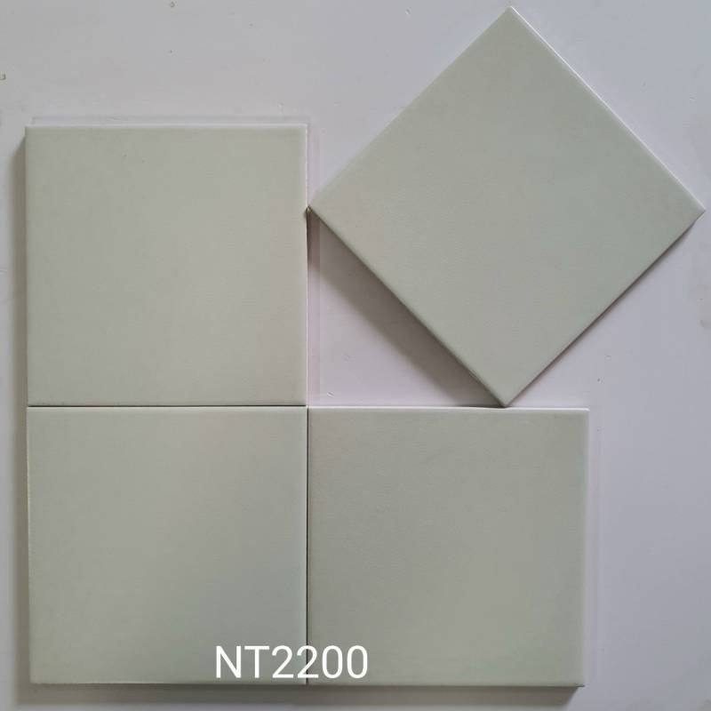 Gạch Bông trắng KT 200x200mm NT2200(2201)