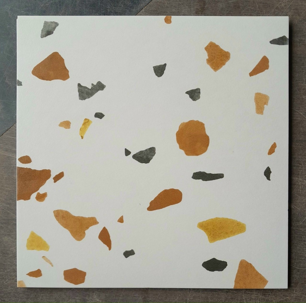 Gạch terrazzo 30x30 30408