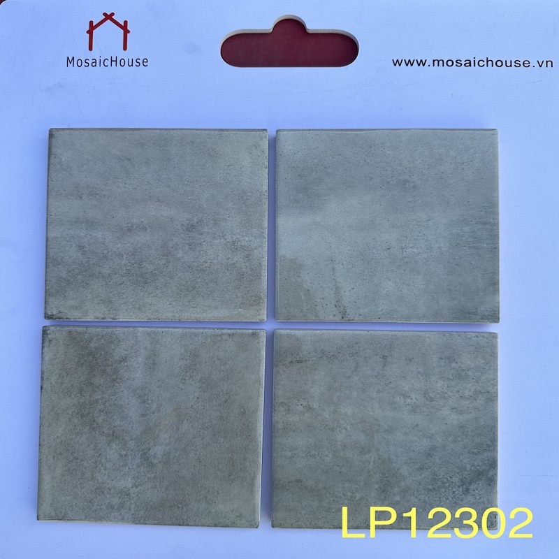 Gạch thẻ 123x123mm LP12302