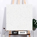 Gạch Terrazzo KT 600x600mm 6924