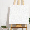 Gạch Terrazzo KT 600x600mm 67032