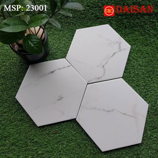 [NGB_23001_MDC_23001] Gạch bông men lục giác nhập khẩu kích thước 200x230mm mã 23001