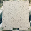 Gạch Terrazzo 600x600 Z66227