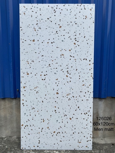 [126026] Gạch terrazzo 60x120 mã 126026
