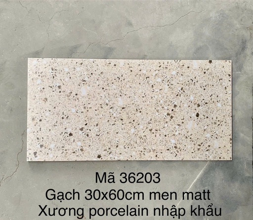 [36203] Gạch Terrazo porcelain men matt 300x600mm