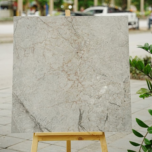 [DSH-35206] Gạch Ấn Độ KT 800x800mm Saltash grey