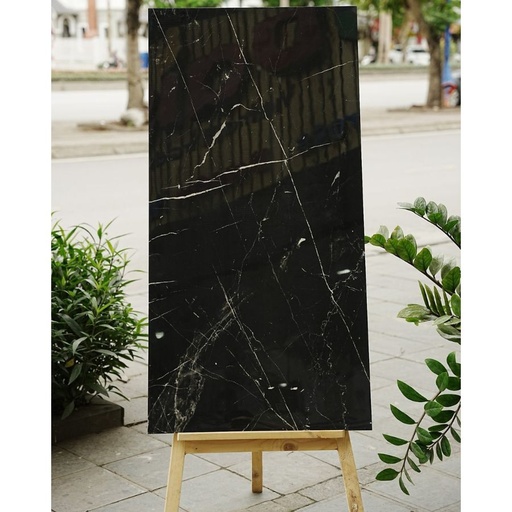 [DSH-35217] Gạch Ấn Độ KT 600x1200mm Base 7061