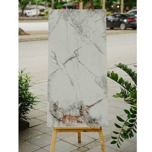 [DSH-35219] Gạch Ấn Độ KT 600x1200mm Blizzardo Ince