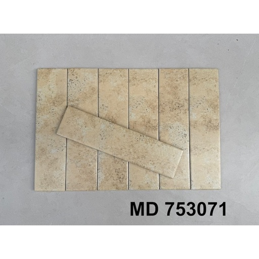 [MD753071] Gạch Thẻ 753071