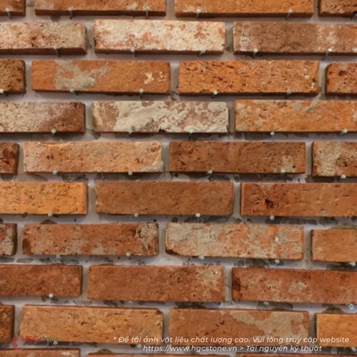 [HGC-818] Gạch cổ cắt GT13