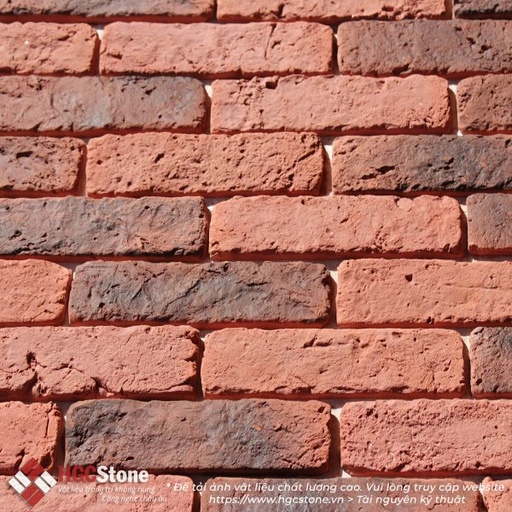 [HGC-294] Gạch cổ đỏ cháy