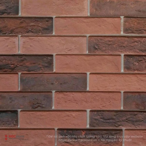 [HGC-246] Gạch trang trí nâu đen