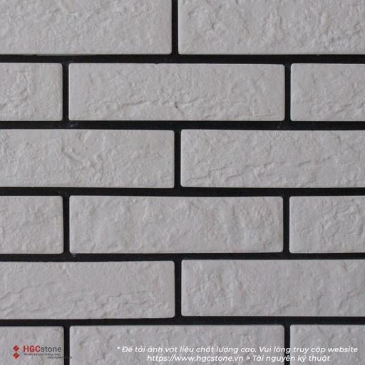 [HGC-220] Gạch trang trí trắng