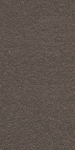 [g63521] Gạch lát nền taicera 30×60 g63521