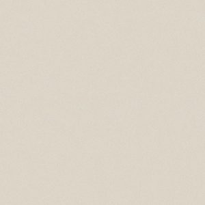 [g49034] Gạch lát nền taicera 40×40 g49034