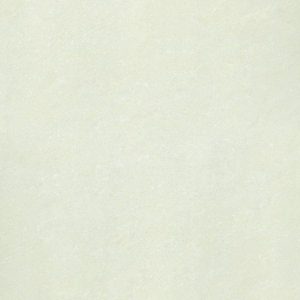 [p67703n] Gạch lát nền taicera 60×60 p67703n