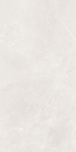 [g12845] Gạch lát nền taicera 60×120 g12845