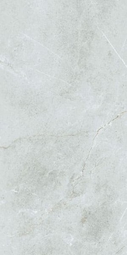 [g12848] Gạch lát nền taicera 60×120 g12848