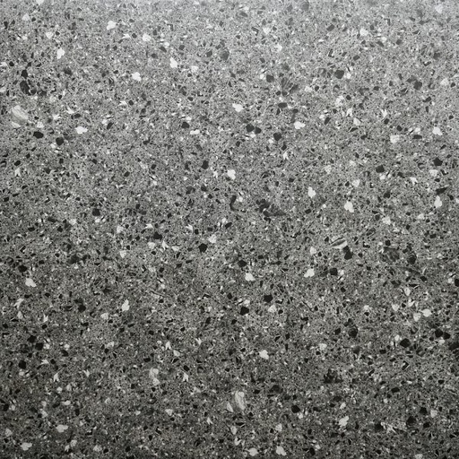 [INNO-00412] Gạch Terrazzo IĐ00412