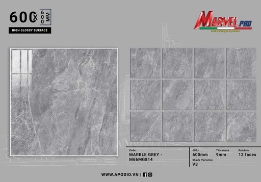 [M66MG814] Gạch ốp lát Apodio M66MG814 (Bóng)