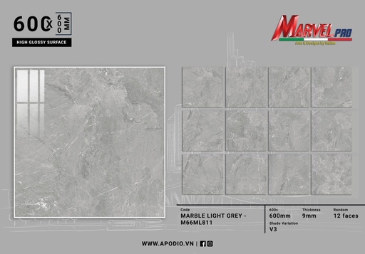 [M66ML811] Gạch ốp lát Apodio M66ML811 (Bóng)