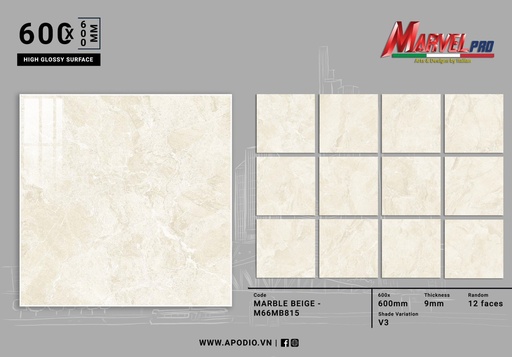 [M66MB815] Gạch ốp lát Apodio M66MB815 (Bóng)