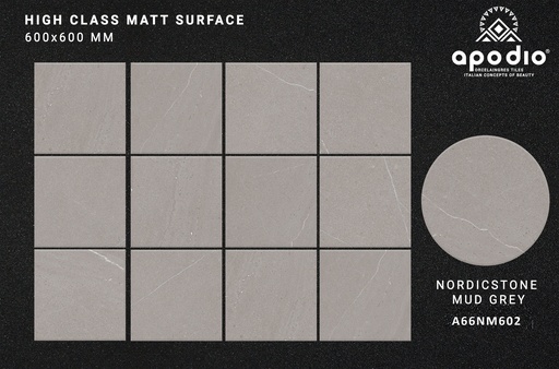 [APODIOA66NM602(Mờ)] Gạch ốp lát Apodio A66NM602 (Matt tinh thể)