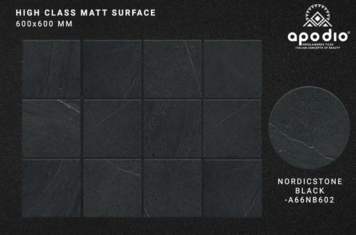 [A66NB602] Gạch ốp lát Apodio A66NB602 (Matt tinh thể)