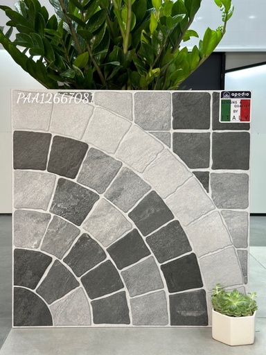 [APODIOPAA12667081] Gạch ốp lát Apodio PAA12667081 (dày 12mm)