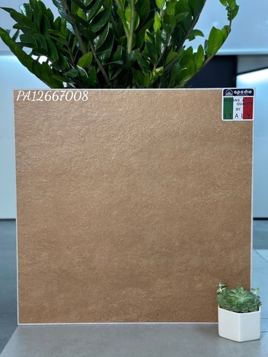 [APODIOPA12667008] Gạch ốp lát Apodio PA12667008 (dày 12mm)