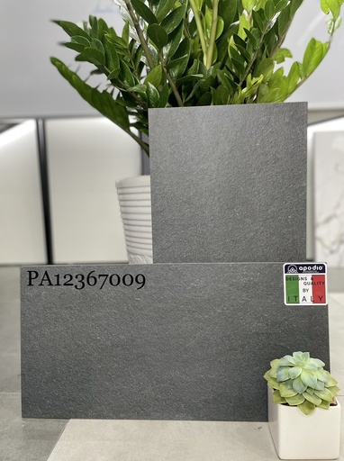 [APODIOPA12367009] Gạch ốp lát Apodio PA12367009 (dày 12mm)