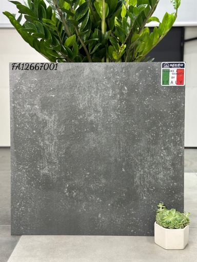 [APODIOFA12667001] Gạch ốp lát Apodio FA12667001 (dày 12mm)