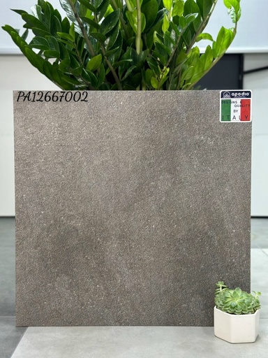 [APODIOPA12667002] Gạch ốp lát Apodio PA12667002 (dày 12mm)