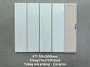 Gạch thẻ Việt Nam, Trắng mờ phẳng, KT 50x200 mm, PSTA50206, Hàng Ưu (1 hộp/ 100 viên/ 1m2)