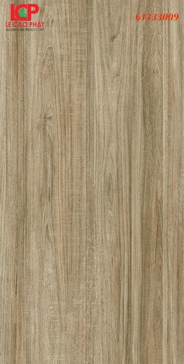 [61333009] Gạch ốp lát Apodio 61333009