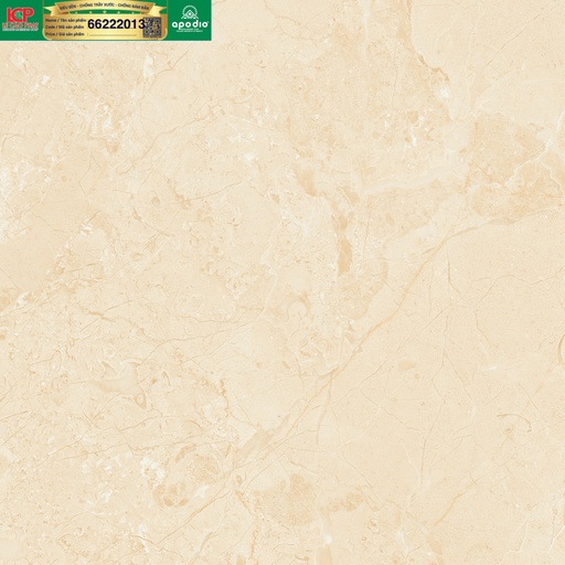 [66222013] Gạch ốp lát Apodio 66222013