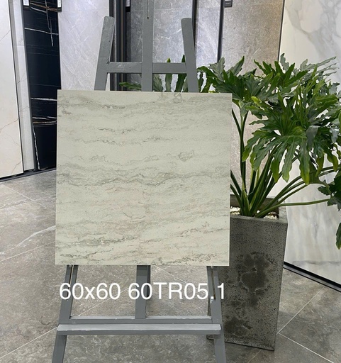 [60TR05] Gạch ốp lát 600x600 mã 60TR05