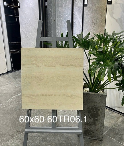[60TR06] Gạch ốp lát 600x600 mã 60TR06