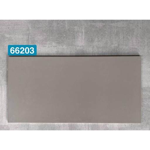 [DAISANB2B_G_11385419] Gạch ốp tường 300x600mm 66203