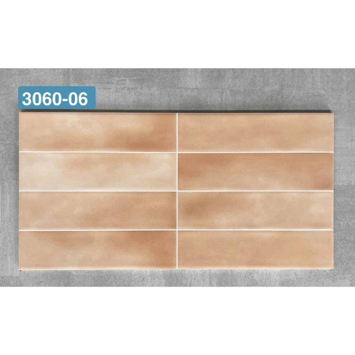 [DAISANB2B_G_57083151] Gạch ốp tường KT 300x600mm DS3060-6