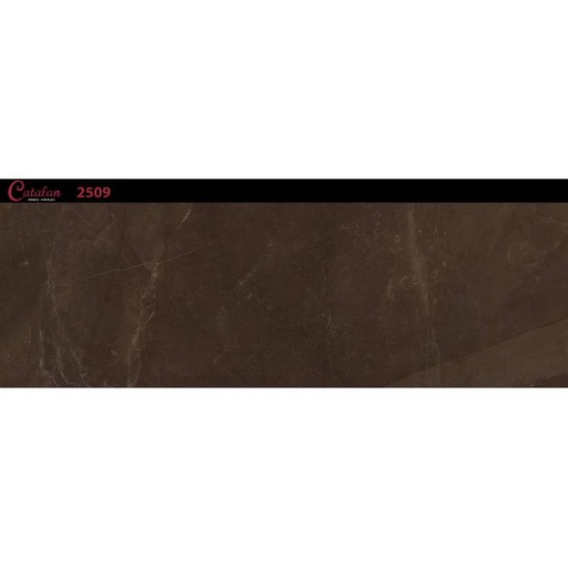 [DAISANB2B_G_18457583] Gạch ốp tường 255x780 Catalan 2509
