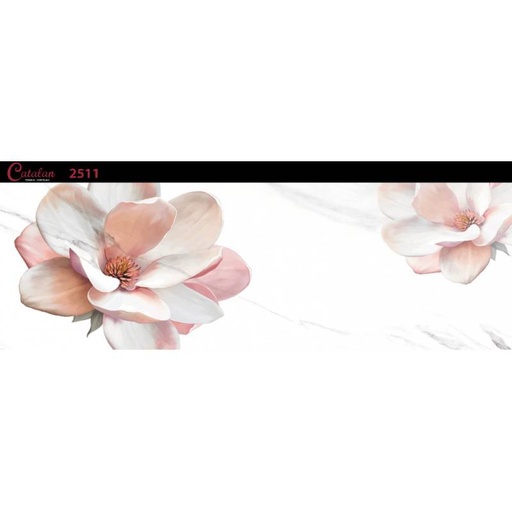 [DAISANB2B_G_11249875] Gạch ốp tường 255x780 Catalan 2511