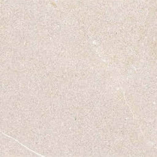 [DAISANB2B_G_84793282] Gạch granite Eurotile Nguyệt Cát NGC I02
