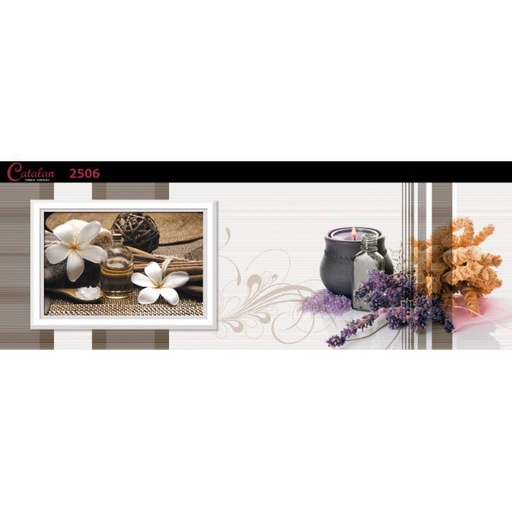 [DAISANB2B_G_10469559] Gạch ốp tường 255x780 Catalan 2506