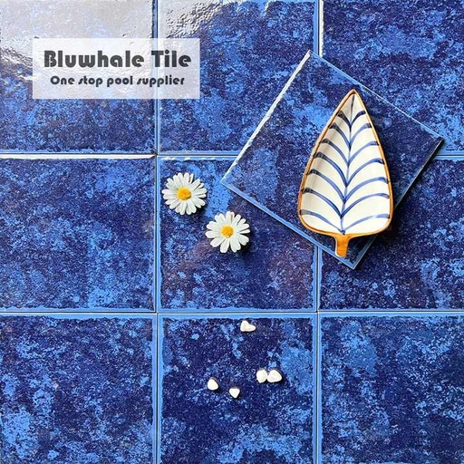 [106134015904] Gạch hồ bơi ngoài trời cao cấp Bluwhale Tile One Stop bán buôn
